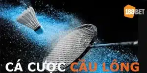 Cá Cược Cầu Lông - Sân Chơi Thú Vị Được Săn Đón Nhất