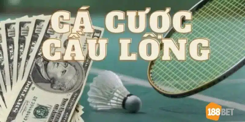 Đôi nét về cá cược cầu lông - sân chơi giải trí thú vị. 